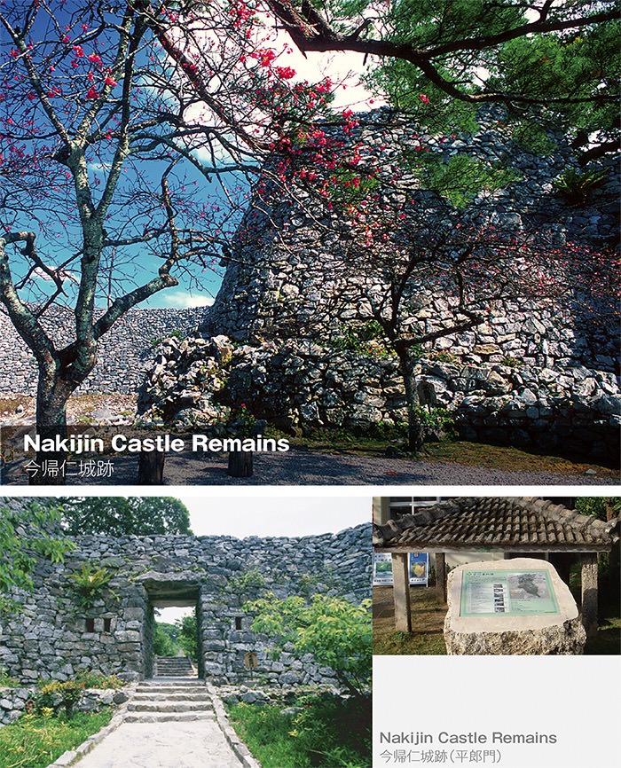 Famous scenary in Nakijin village,Okinawa Japan
