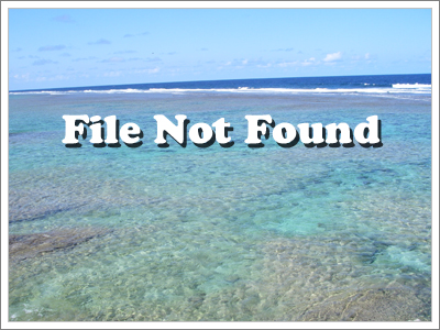 File not found